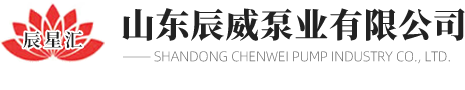山東色爱综合网泵（bèng）業有限公司
